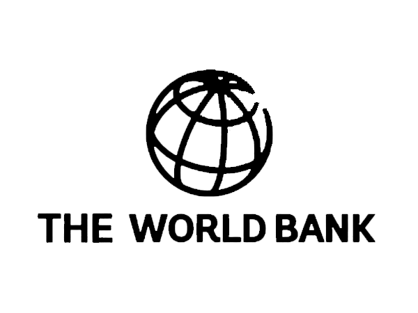 <p><strong>Organisations with a global mandate and ambition</strong></p>