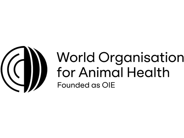 <p><strong>Organisations with a global mandate and ambition</strong></p>